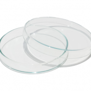 Petri Dishes Anumbra